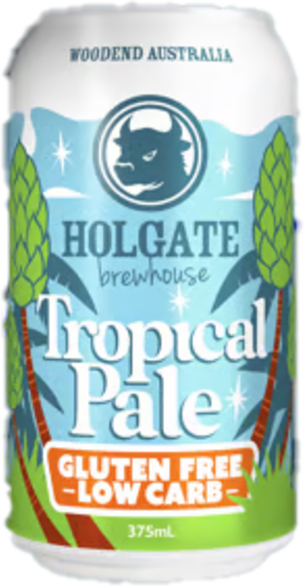 Holgate Tropical Pale Ale Can 4X375ML