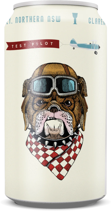 Sanctus Test Pilot Brown Ale Can 5%X375ML 16X375ML
