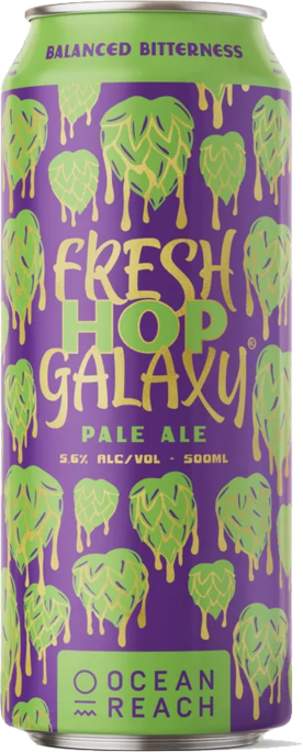 Ocean Reach Fresh Hop Can X500ml 16X500ML
