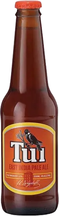 Tui Pale Ale Bottle 6X330ML