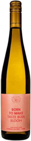Contentious Character Pinot Gris 750ML