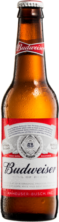 Budweiser Bottle 24X330ML